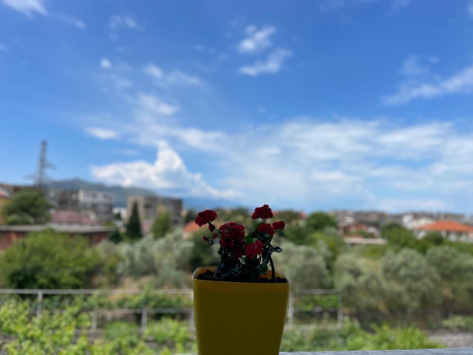 Prela'S Rooms Shkodër Екстериор снимка